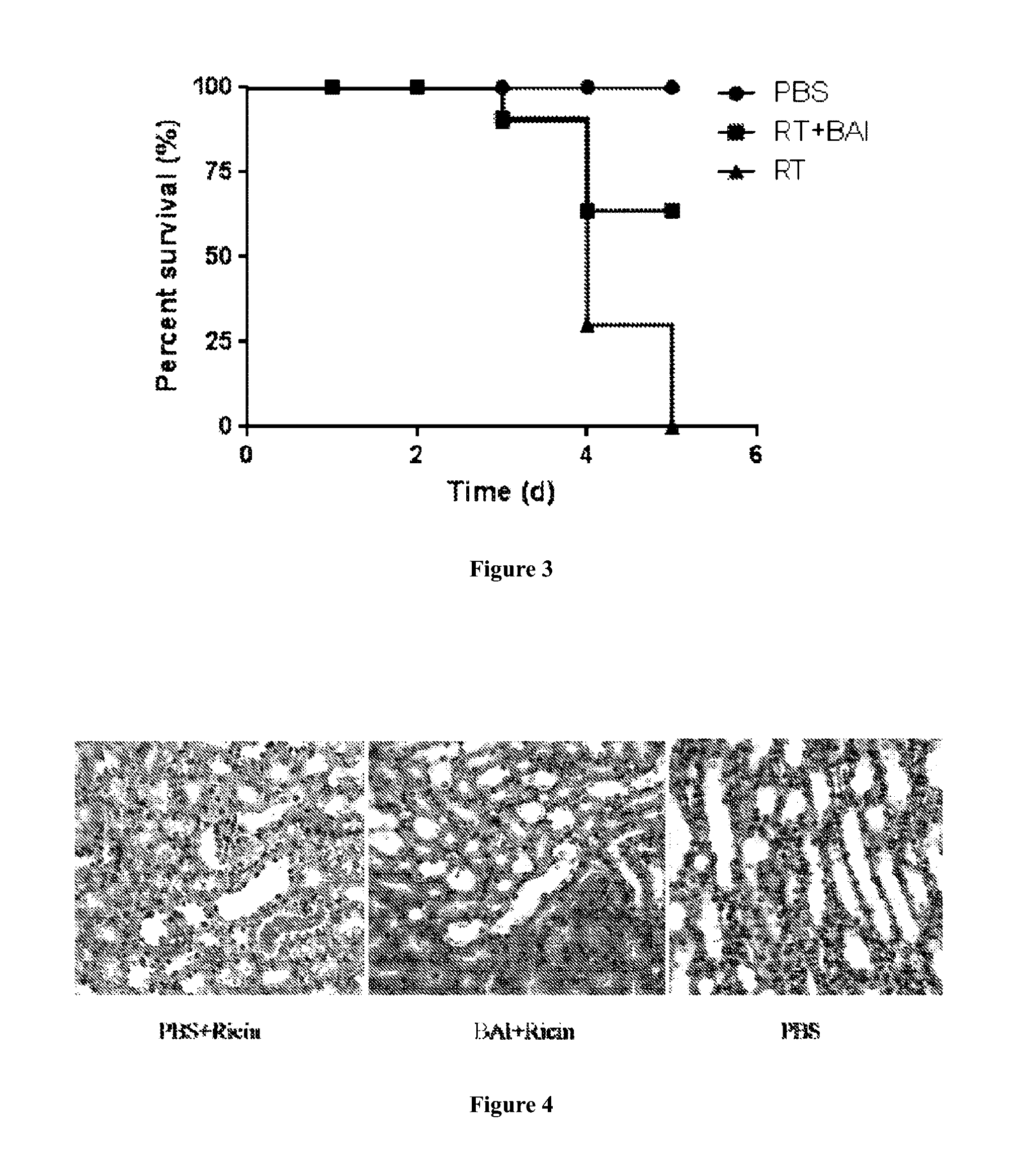 Application of baicalin in preparation of drug for treating ricin poisoning