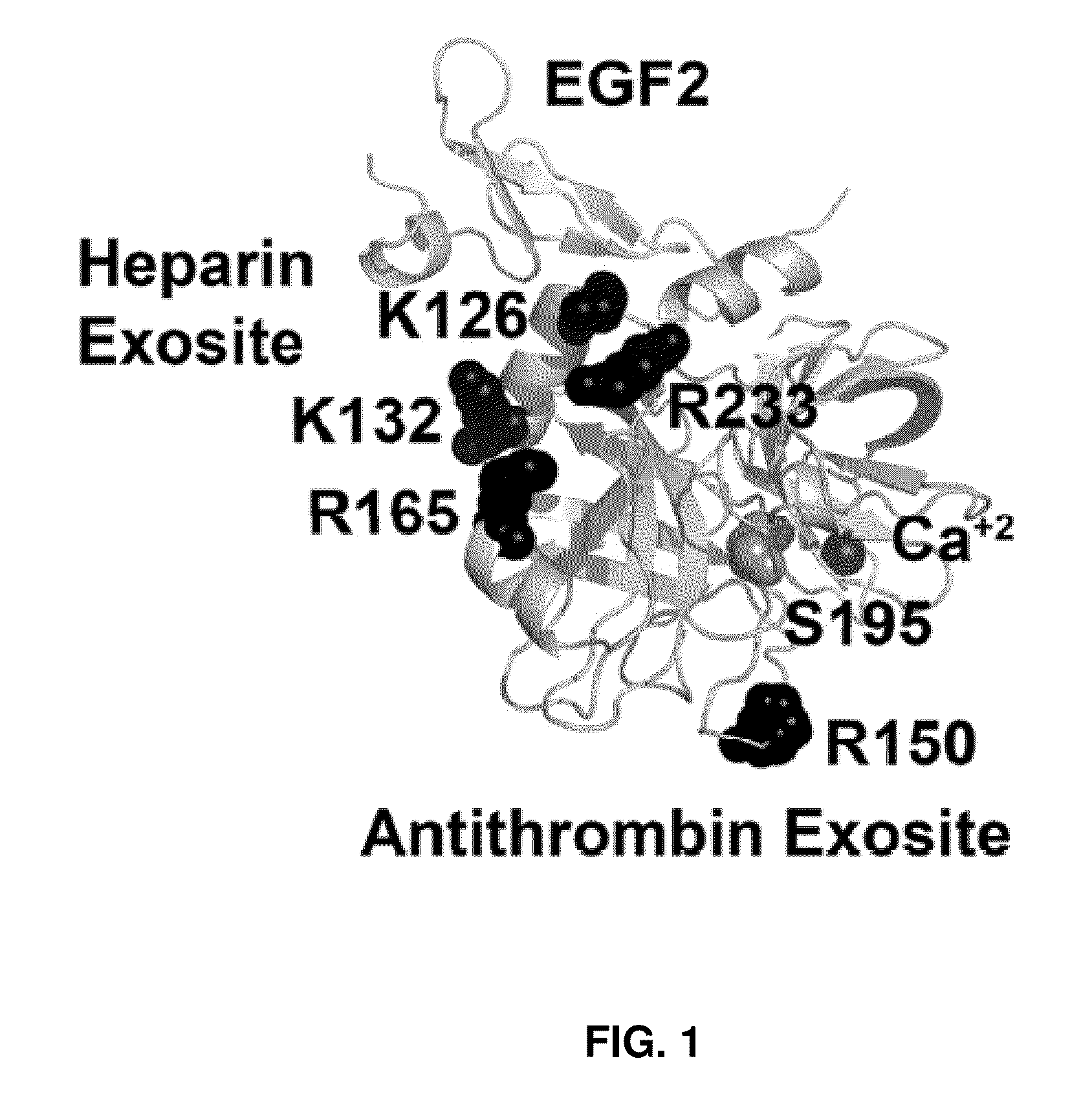 Factor ix variants and methods of use therefor