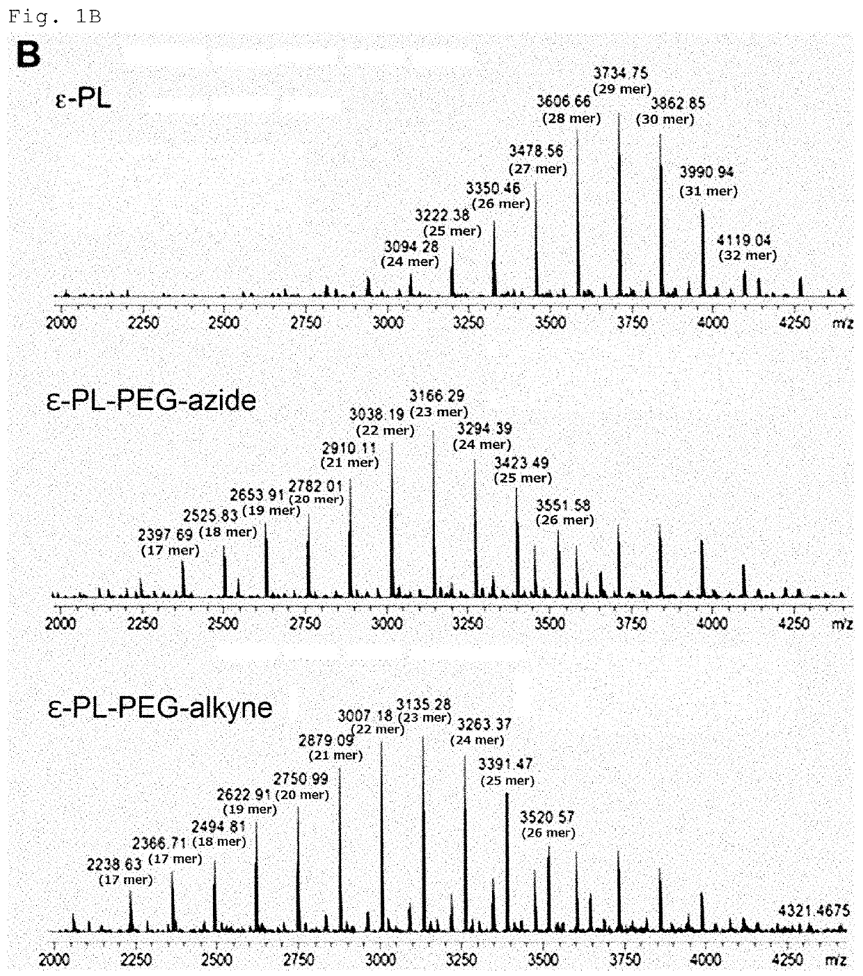 E-poly-l-lysine derivatives having functional group for click chemistry, method for producing the same, and use thereof