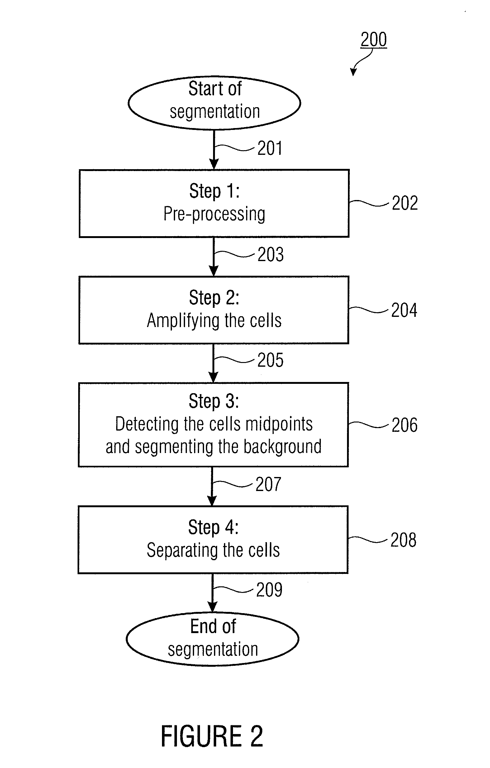 Method and Apparatus for Segmenting Biological Cells in a Picture