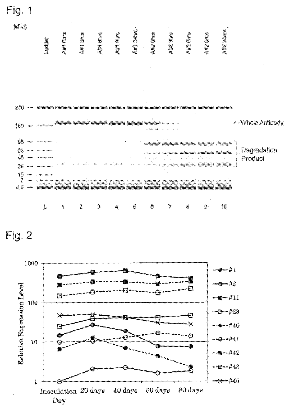 Method for selecting cell