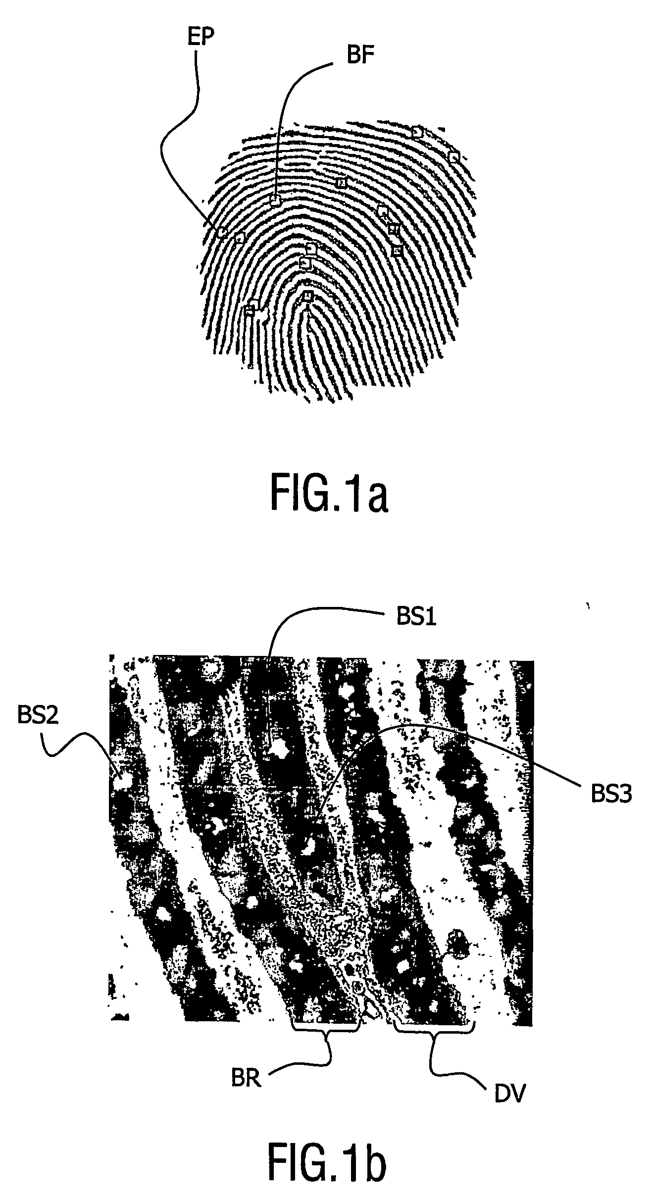 Biometrical identification device