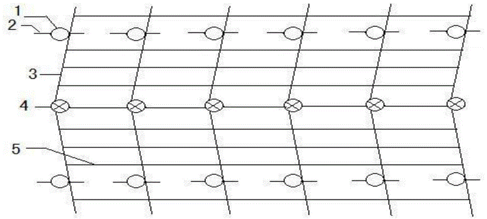 Y-shaped frame type cultivation method for atemoya