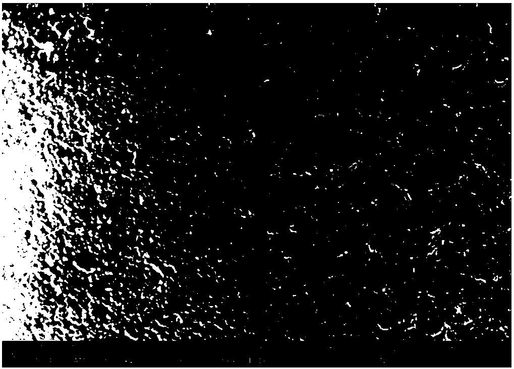 Gradient anti-friction and wear-resistant coating on titanium alloy surface and preparation method thereof