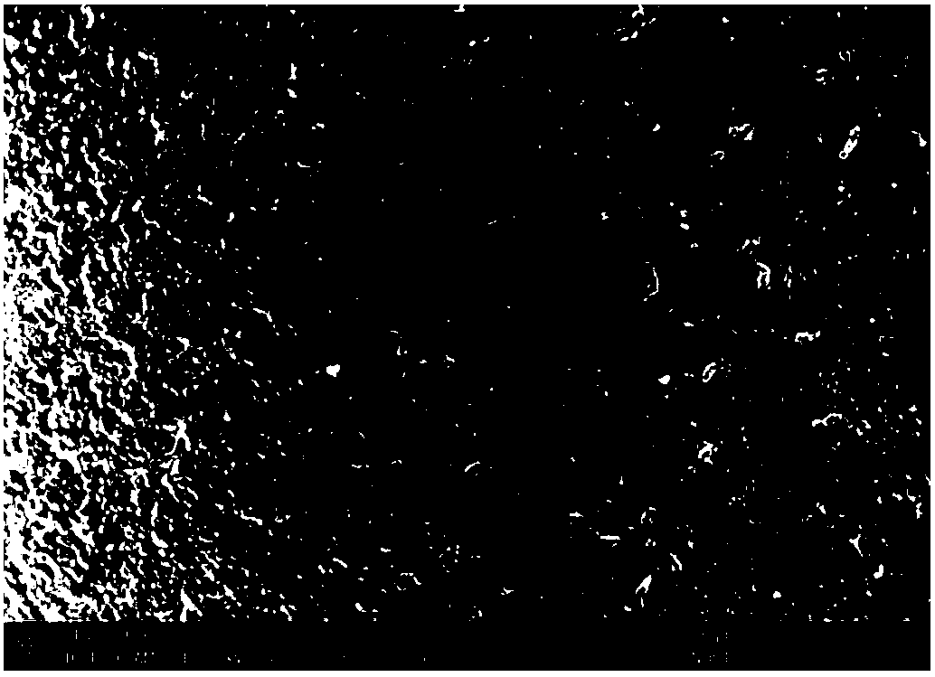 Gradient anti-friction and wear-resistant coating on titanium alloy surface and preparation method thereof