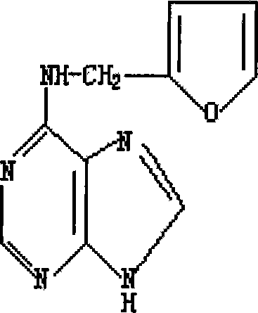 Application of compound 6-furfuryl amino purine in preparing medicine for treating female genital organ damage