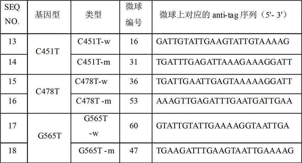 Specific primers and liquid-phase chips for mc1r gene mutation detection