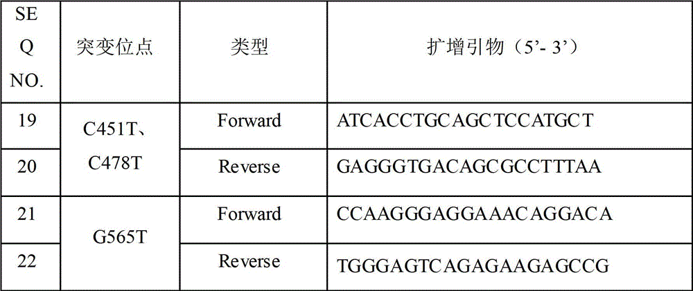 Specific primers and liquid-phase chips for mc1r gene mutation detection