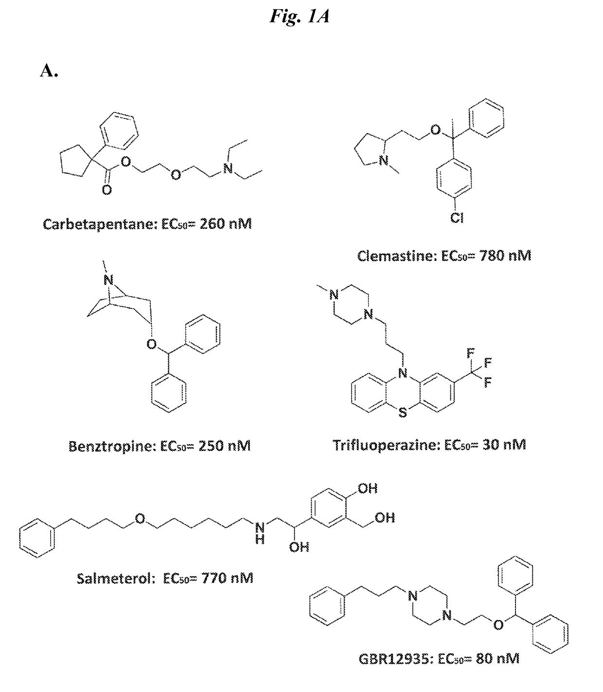 Directed differentiation of oligodendrocyte precursor cells to a myelinating cell fate