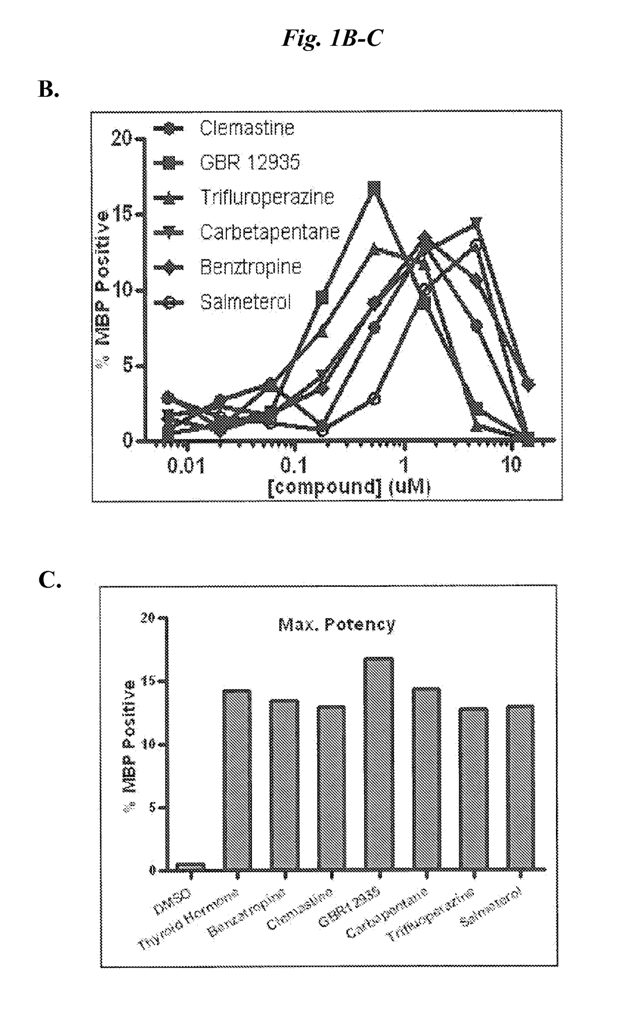 Directed differentiation of oligodendrocyte precursor cells to a myelinating cell fate