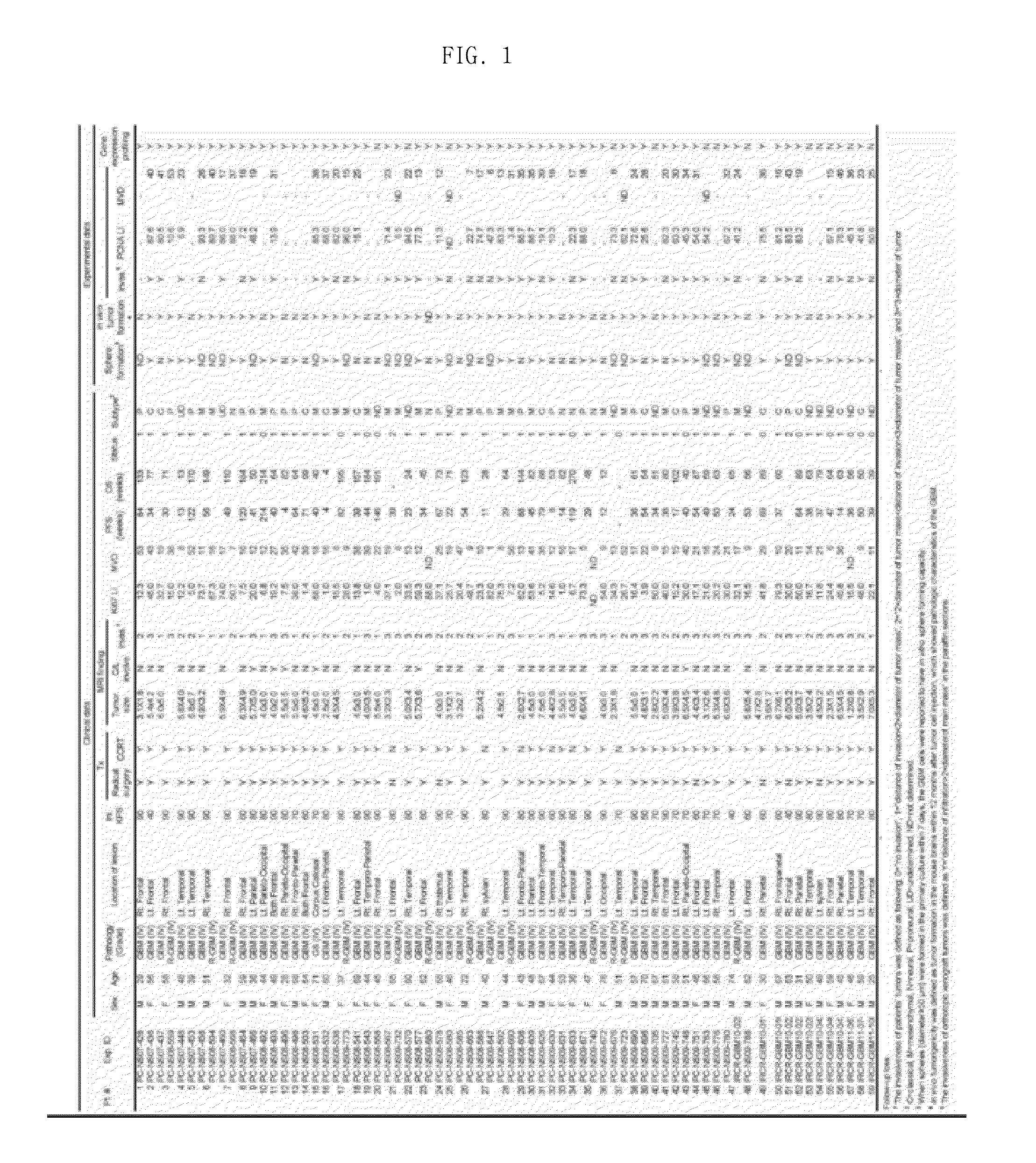 Method for preparing patient-specific glioblastoma animal model, and uses thereof