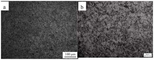 Low-density corrosion-resistant steel and preparation method and application thereof