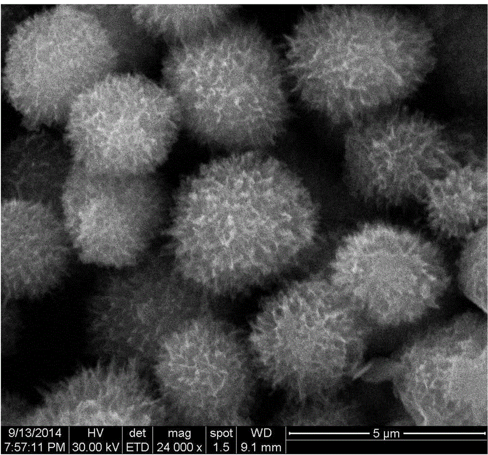 Sea urchin-like lithium titanate microsphere preparation method