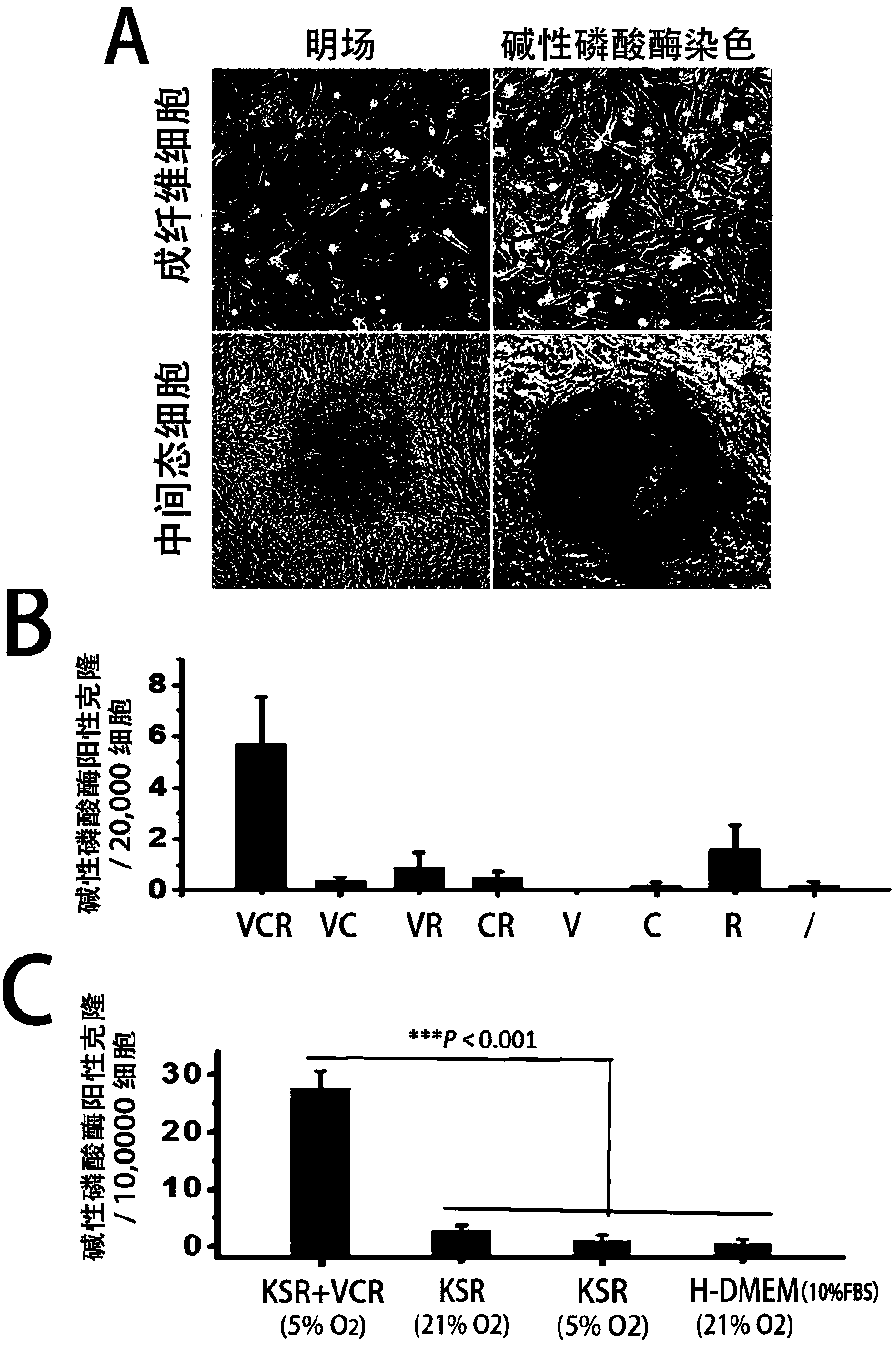 Method for inducing mouse fibroblasts into cartilage by adopting small-molecule composition