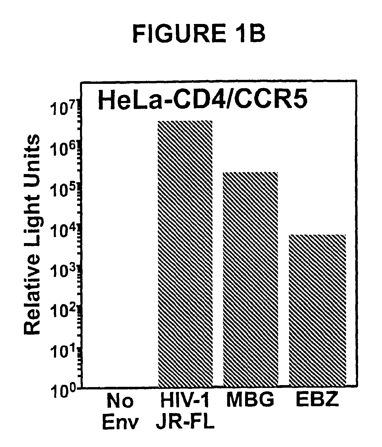 Methods and compositions for use in the treatment of filovirus mediated disease conditions