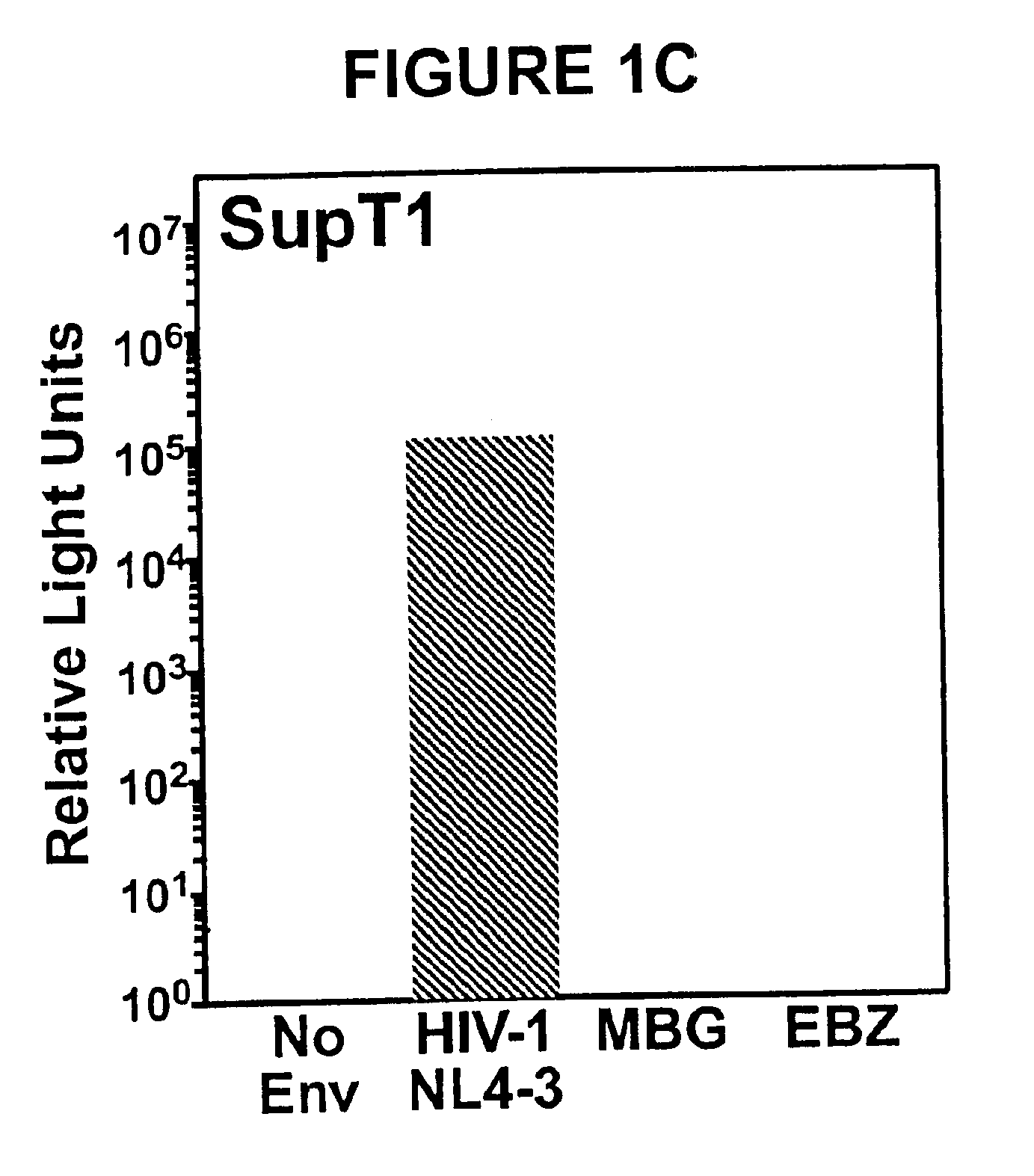 Methods and compositions for use in the treatment of filovirus mediated disease conditions