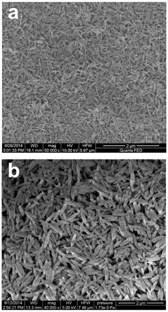 A kind of preparation method and application of rice granular nano-magnetic iron oxide