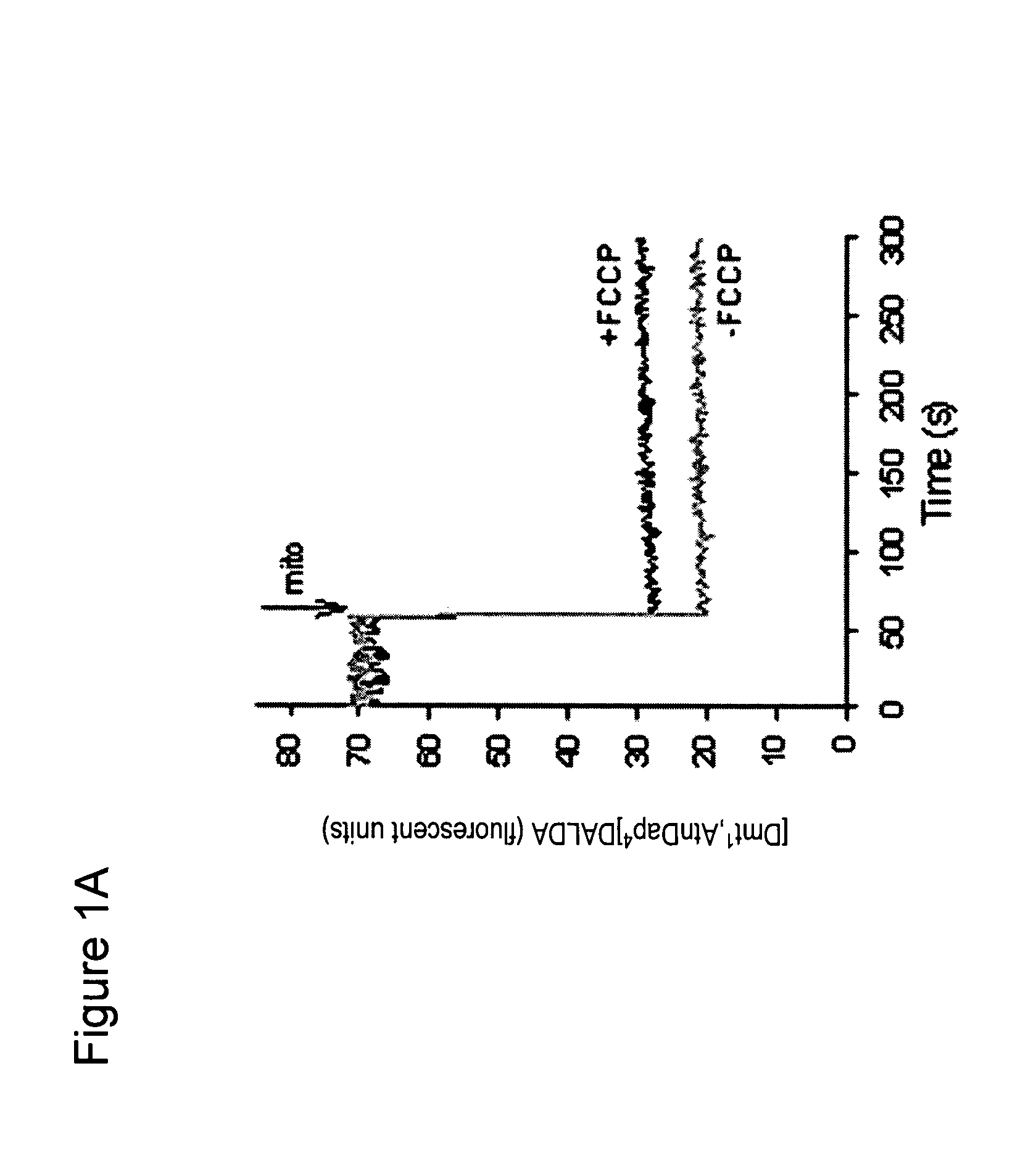 Methods for preventing mitochondrial permeability transition