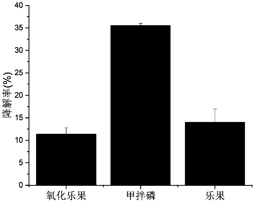 Lactobacillus plantarum with pesticide degrading activity, preparation method and application thereof