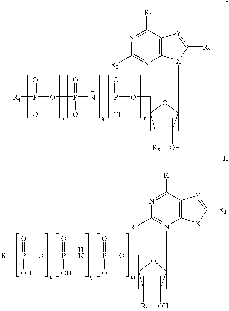 Purine nucleotide analogues, pharmaceutical compositions thereof, and methods of improving cardiac functions