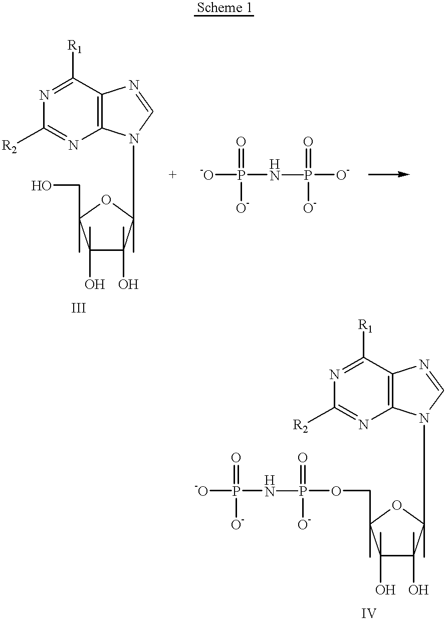 Purine nucleotide analogues, pharmaceutical compositions thereof, and methods of improving cardiac functions