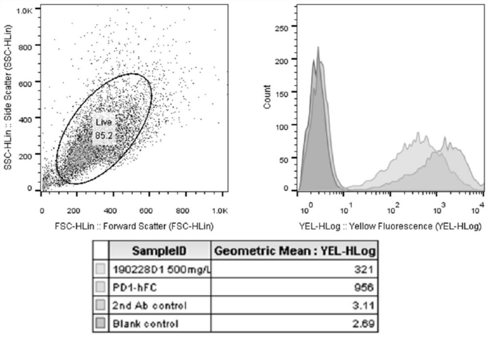 Application of cordyceps sinensis extract in preparation of immune checkpoint inhibitors