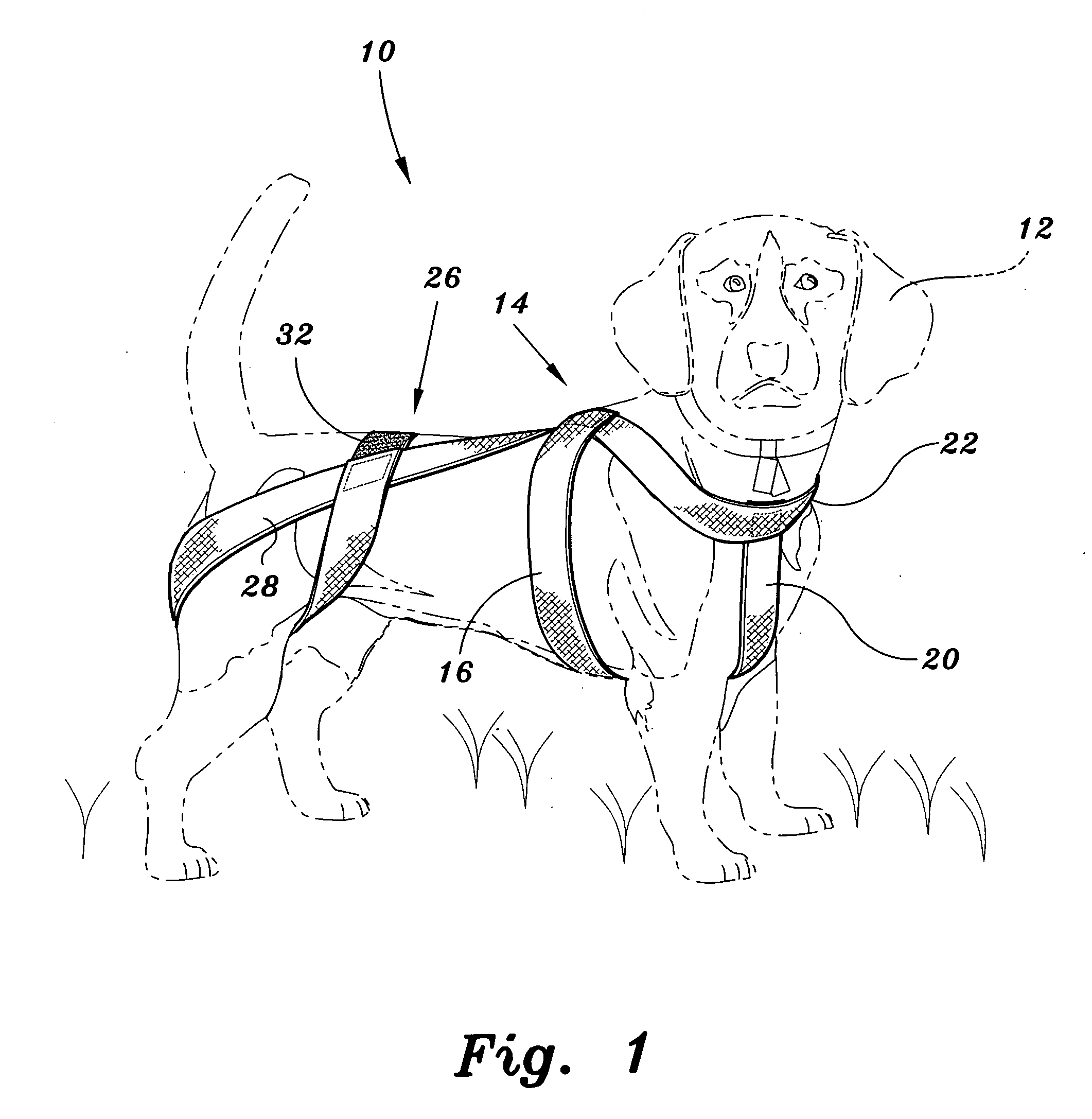 Animal wrap for touch training