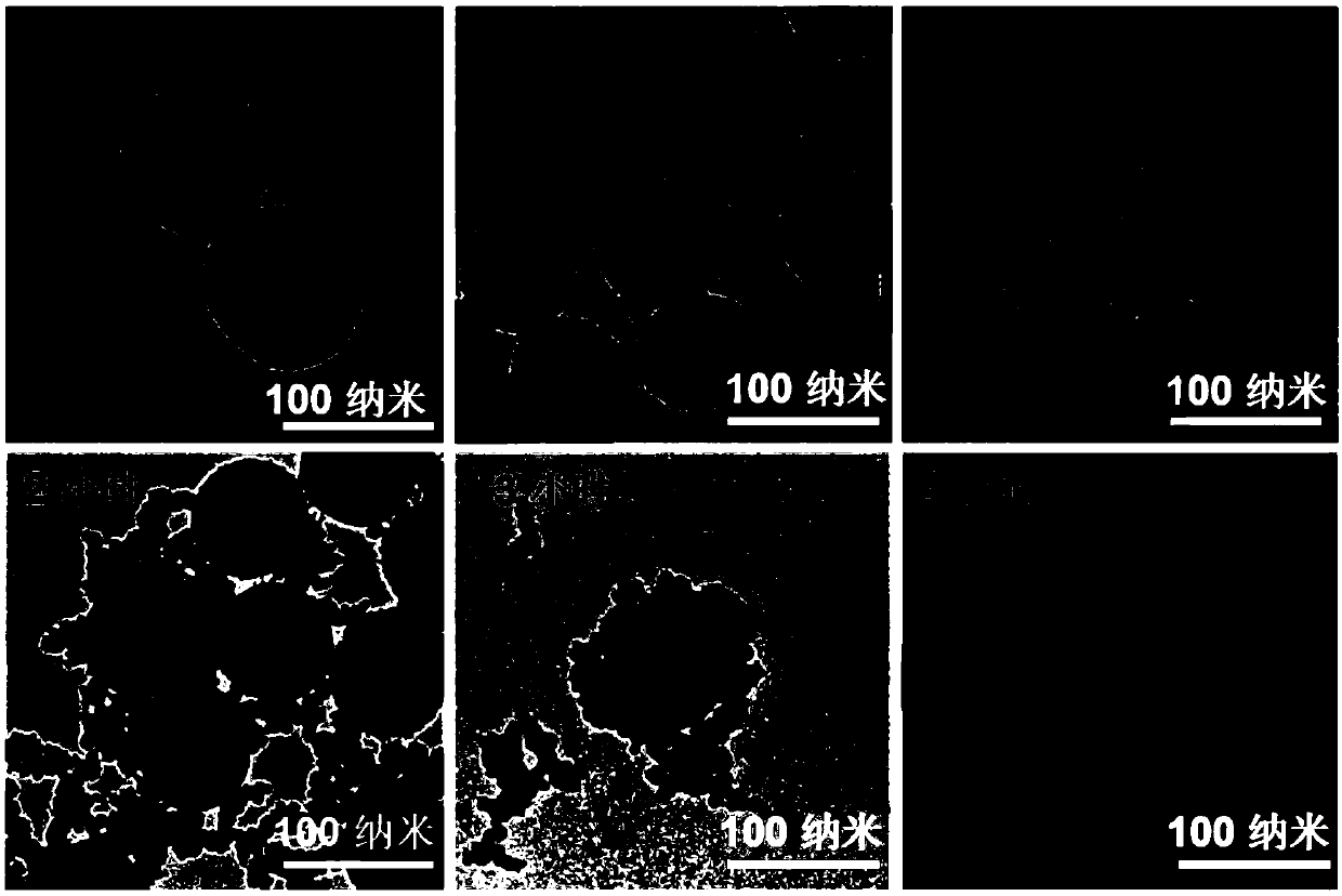 Mesoporous ruthenium nanoparticles for targeted therapy of colorectal cancer as well as preparation method and application of mesoporous ruthenium nanoparticles