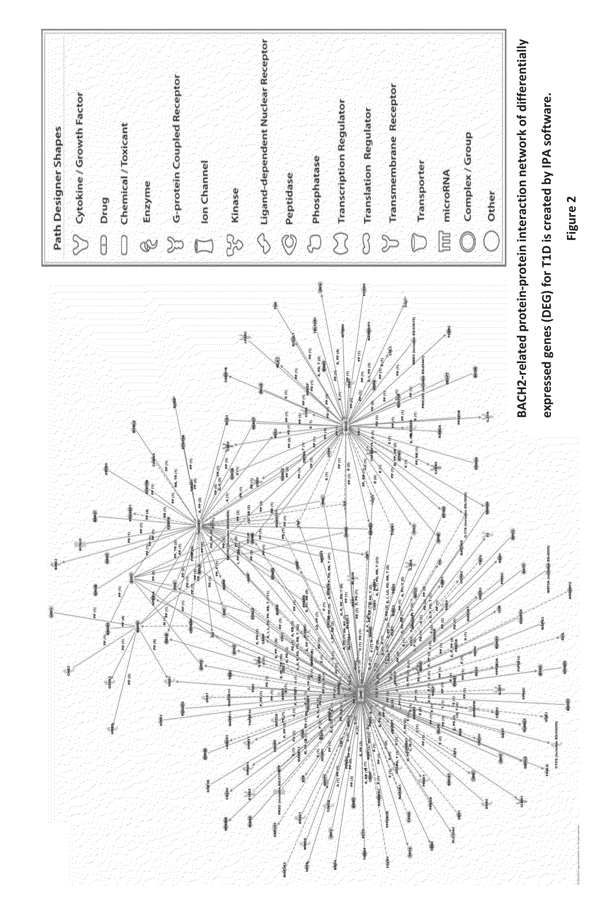 Genetic Alterations on Chromosomes 21Q, 6Q and 15Q and Methods of Use Thereof for the Diagnosis and Treatment of Type 1 Diabetes