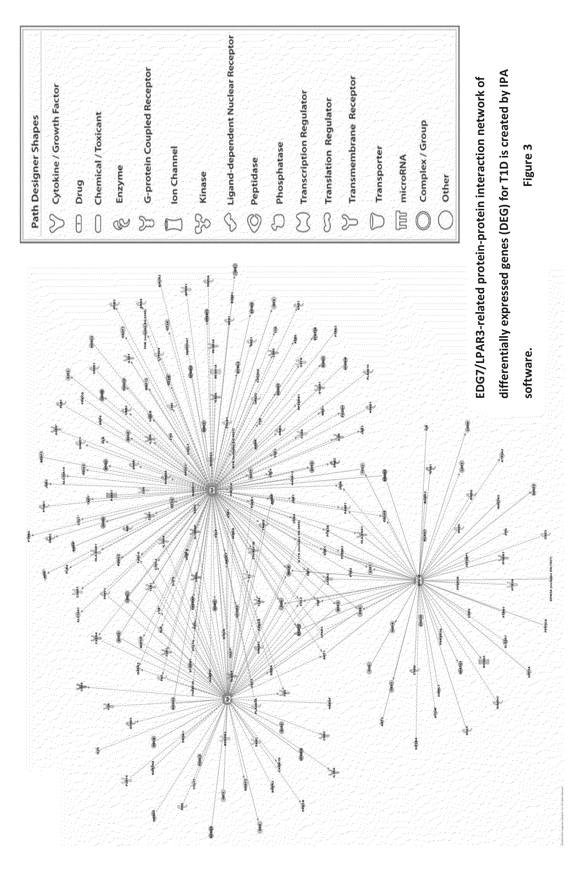 Genetic Alterations on Chromosomes 21Q, 6Q and 15Q and Methods of Use Thereof for the Diagnosis and Treatment of Type 1 Diabetes