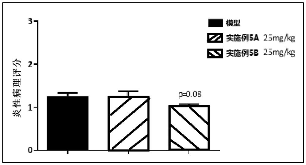 Thiazolidinedione derivatives and pharmaceutical compositions containing same