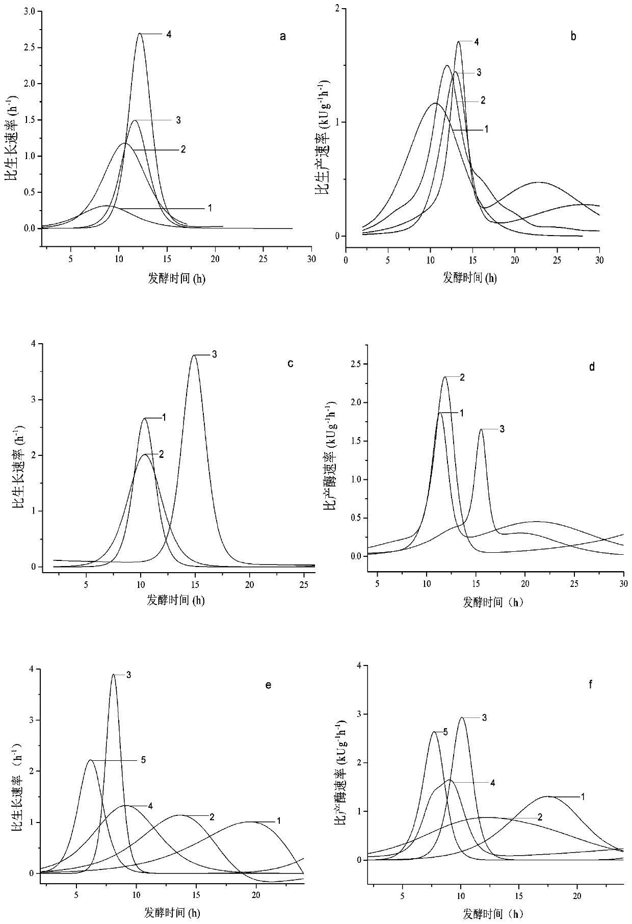 A method for high-yield fermentation of recombinant proline aminopeptidase and preparation of debittered rice peptide