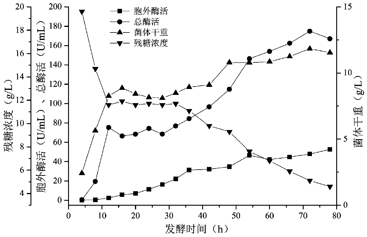 A method for high-yield fermentation of recombinant proline aminopeptidase and preparation of debittered rice peptide