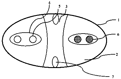 A flat flexible cable