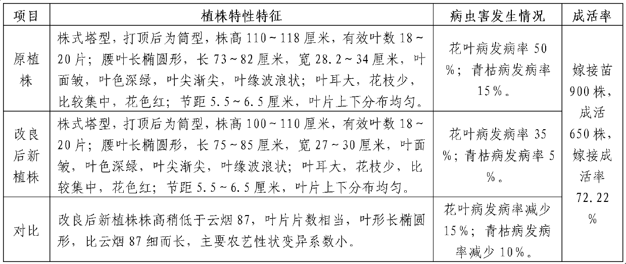 Method for improving Yunyan 87 cured tobacco variety