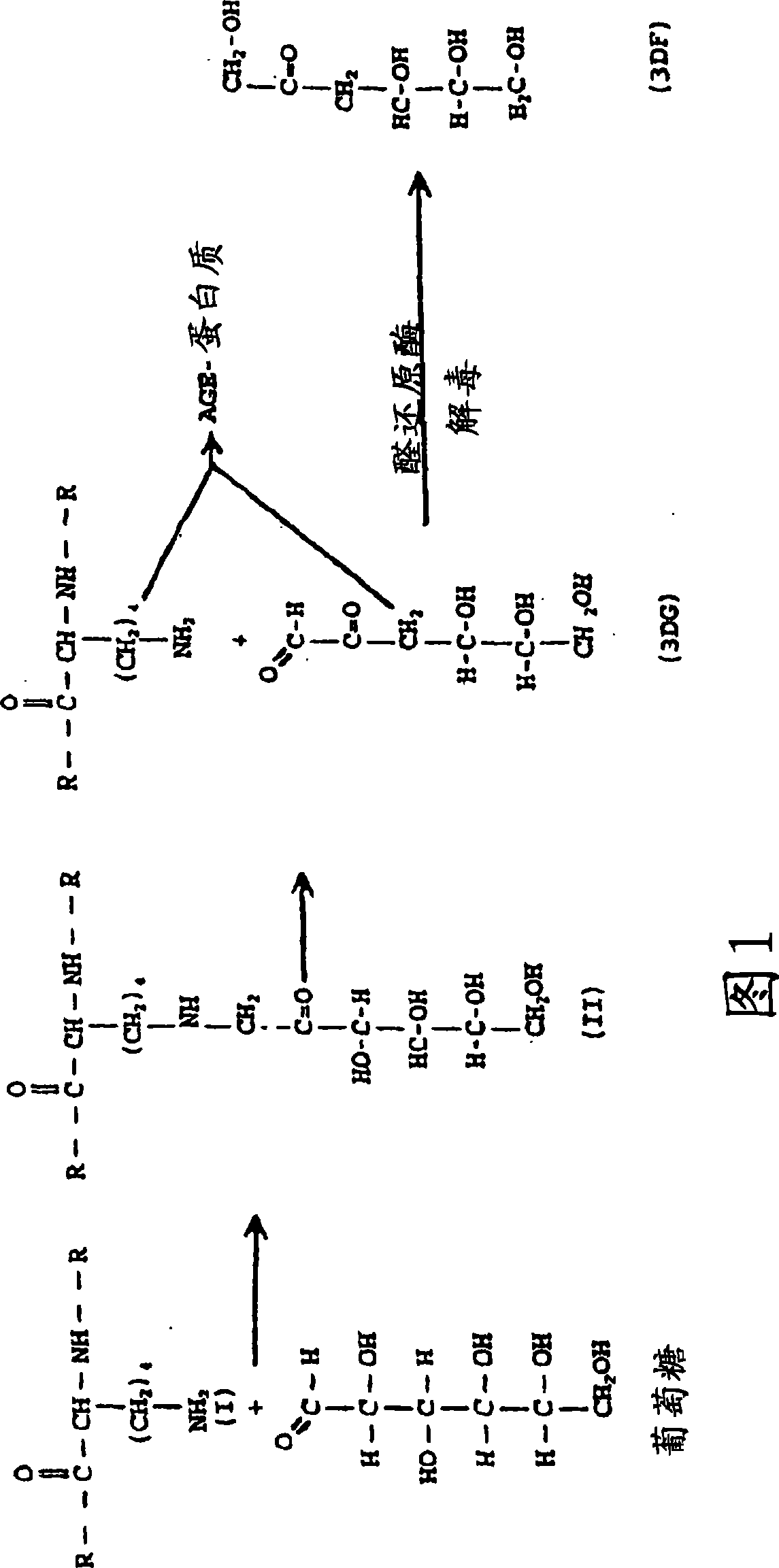 3-deoxyglucosone and skin