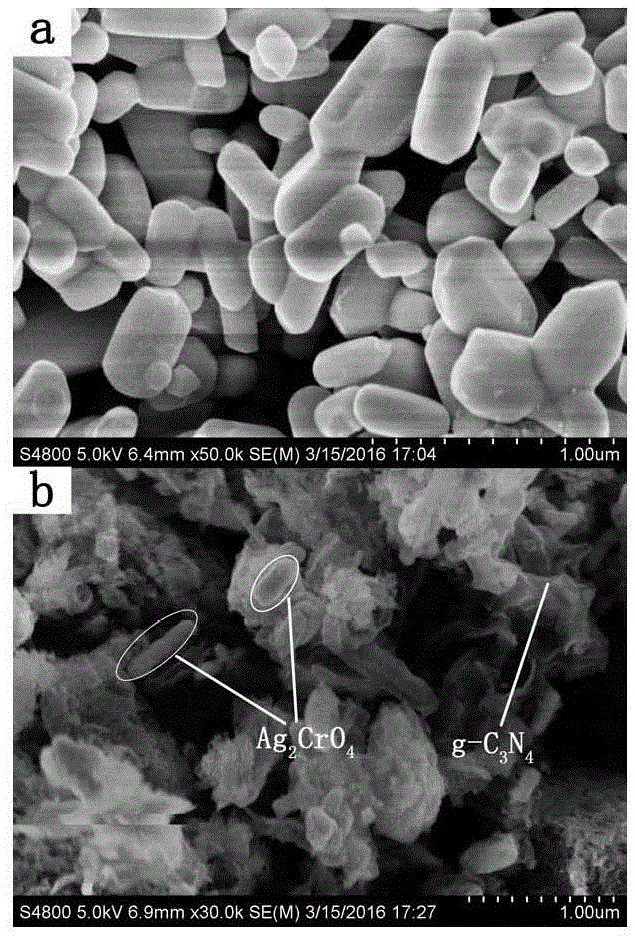 Ag2CrO4-loaded g-C3N4 composite photocatalyst and preparation method and application thereof