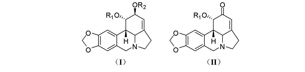 Lycorine derivative, veterinary drug taking lycorine derivative as an active constituent, and applications of lycorine derivative