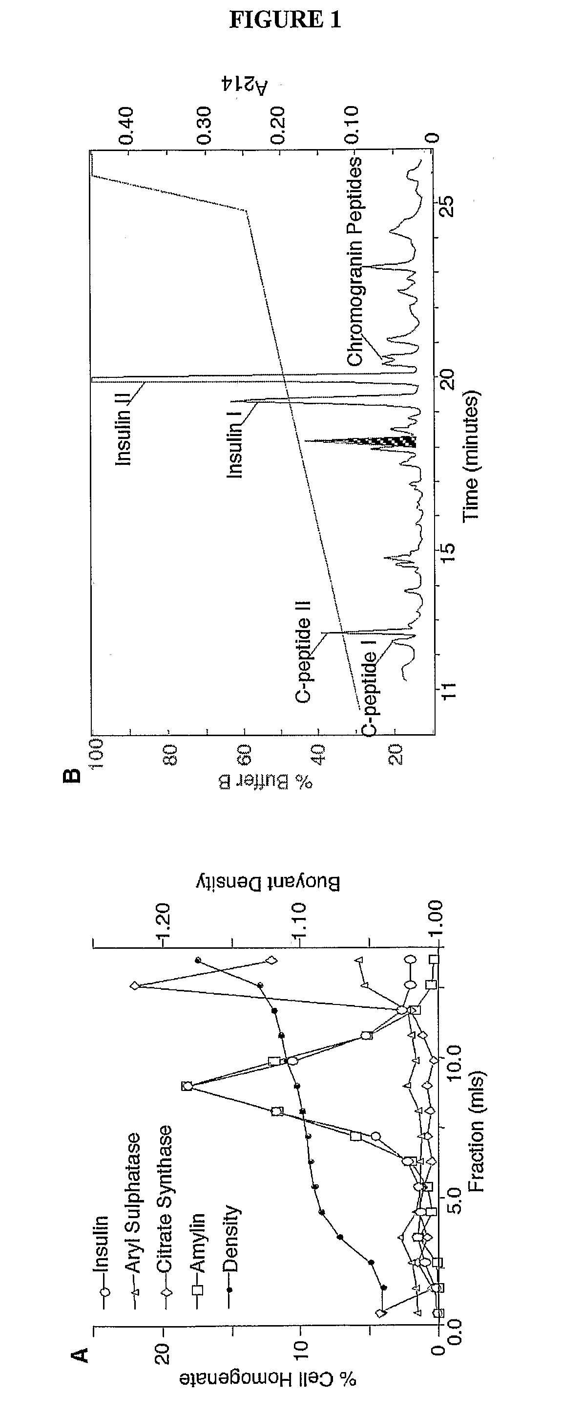 Vesiculins