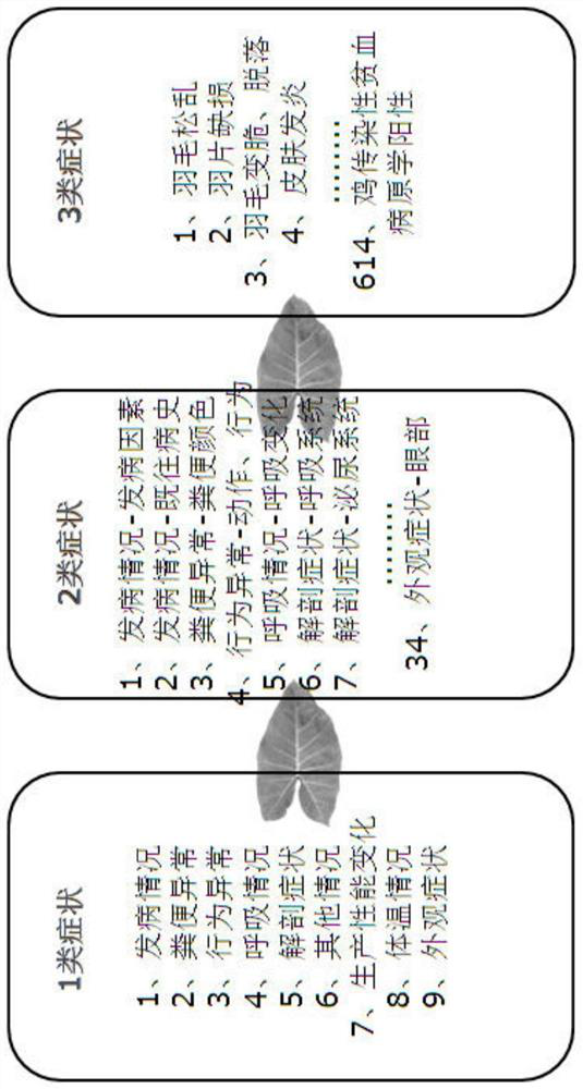 Self-service diagnosis method for diseases of laying hens and system development method for self-service diagnosis of diseases of laying hens