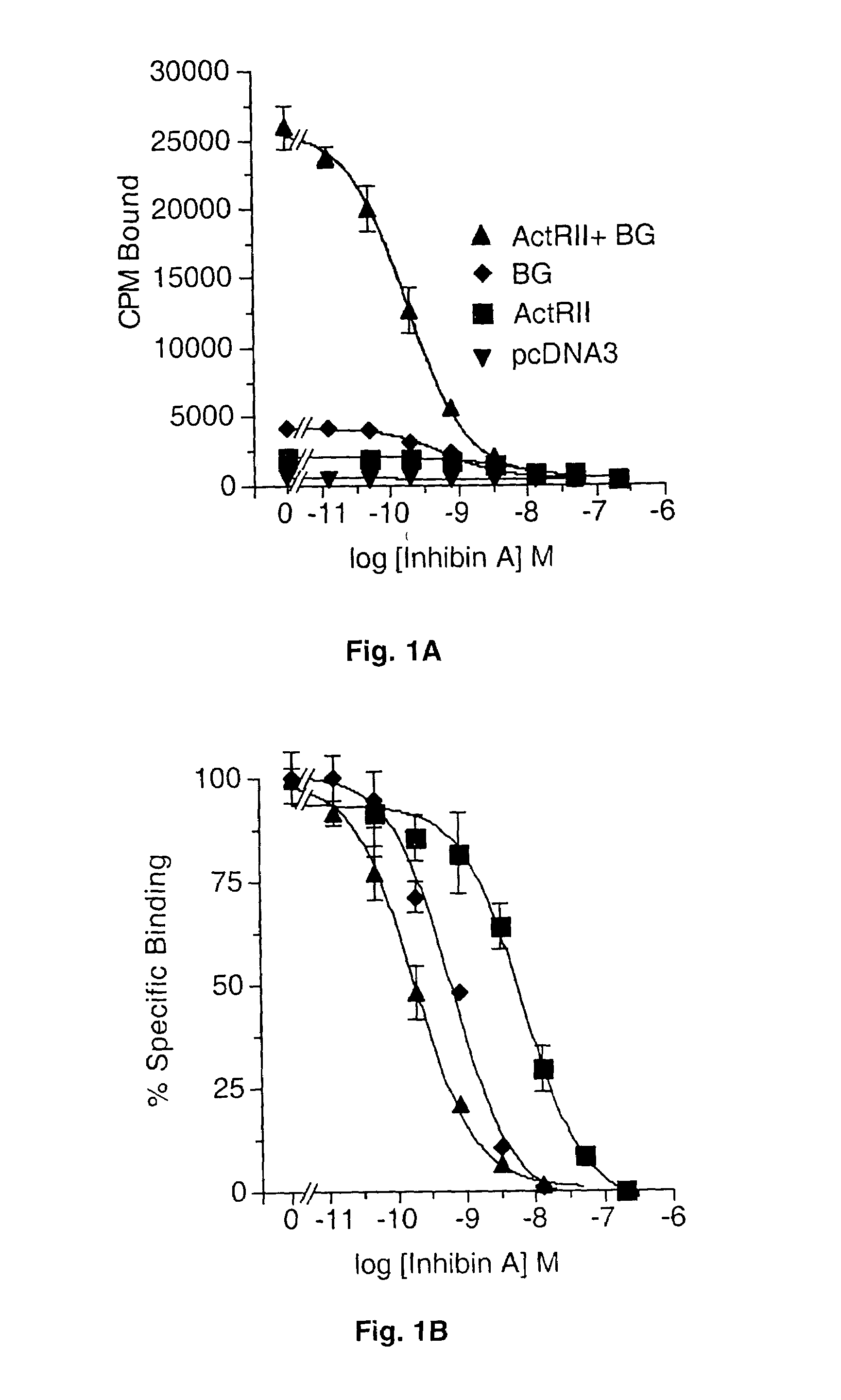 Method of inhibiting the formation of inhibin/betaglycan complexes with an anti-betaglycan antibody
