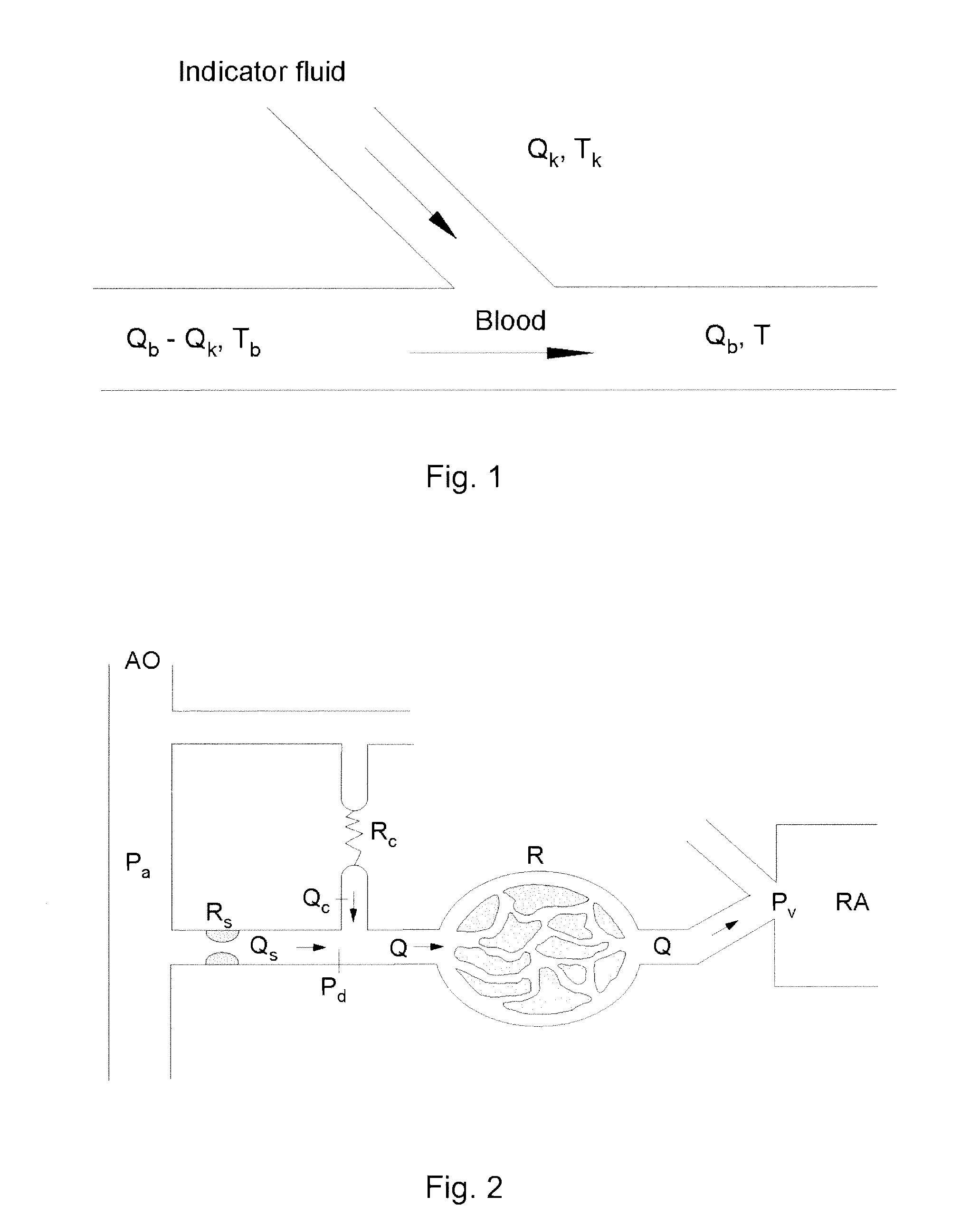 System for determining the blood flow in a coronary artery