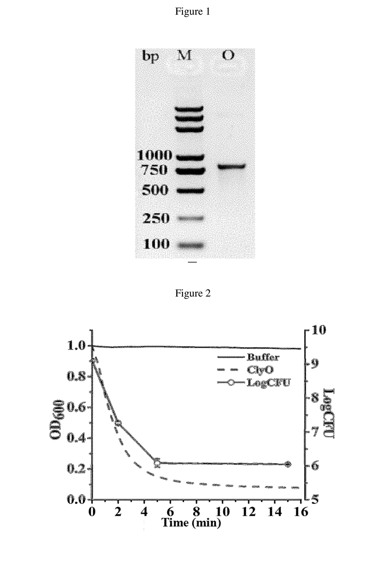 Staphylococcus Lysin and Use Thereof