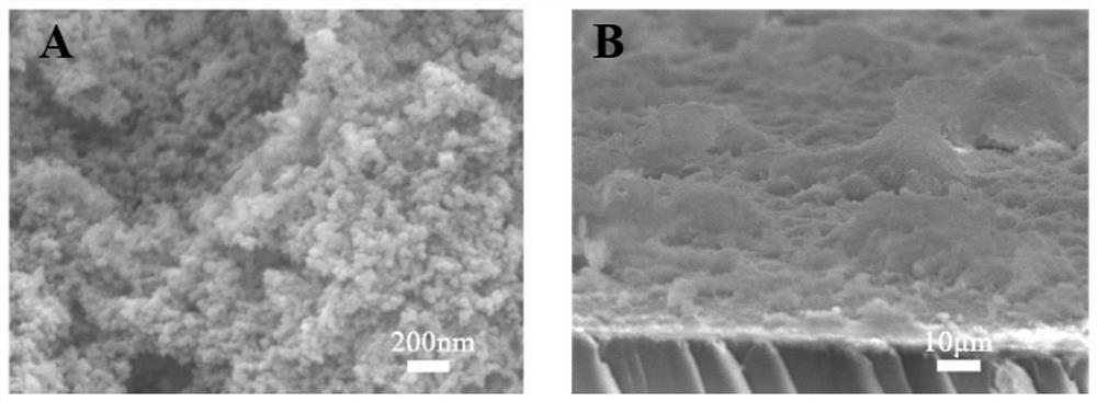 Super-amphiphobic composite coating capable of being repeatedly bonded and recycled as well as preparation and application thereof