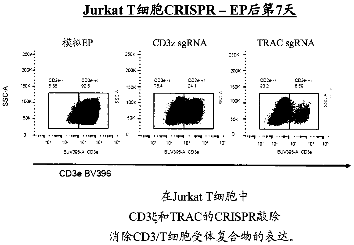 Modified t cells and methods of their use