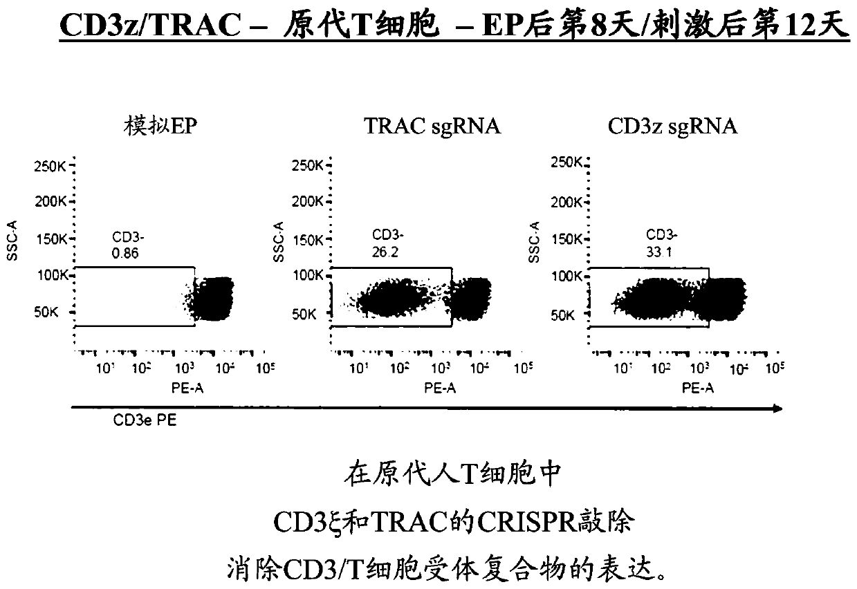Modified t cells and methods of their use