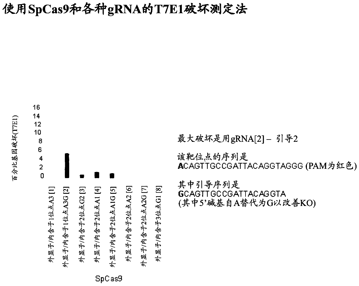 Modified t cells and methods of their use