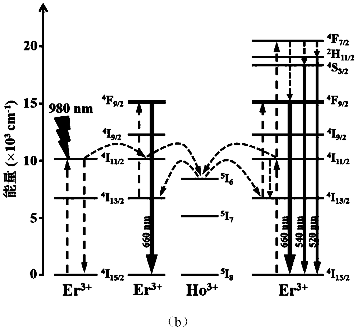 Erbium ion sensitized upconversion phosphor as well as preparation method and application thereof