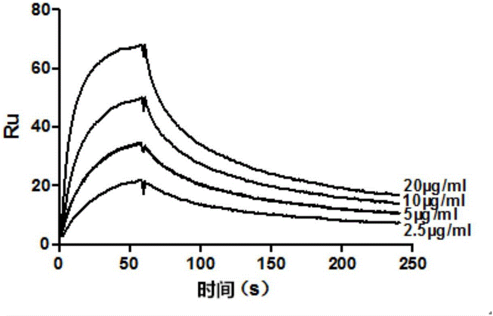 CFH antibody related with alternative pathway