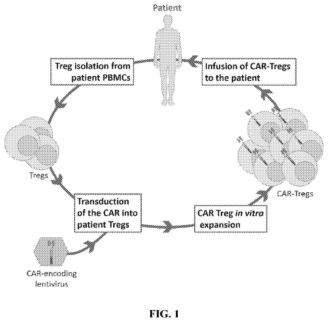 Car-t cells specific for modified proteins in extracellular spaces